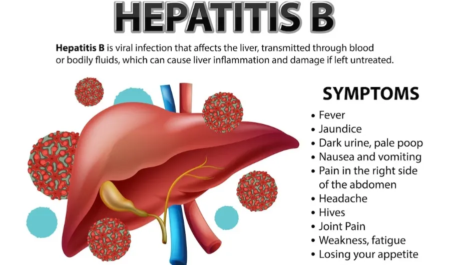 From Fear to Freedom: Steps to Take Control of Chronic Hepatitis B Virus Infection
